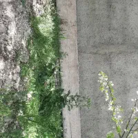 تخته بنایی 3 متری