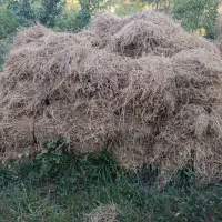یونجه وعلوفه
