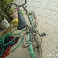 دوچرخه|دوچرخه، اسکیت، اسکوتر|شاهین‌شهر, فیض|دیوار