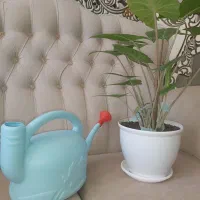 آبپاش