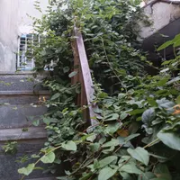 خانه 50متری مجزا