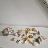 ست گیاهان دریایی طبیعی