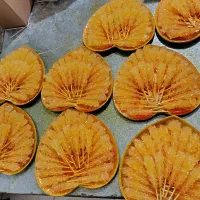 پولک.ی ن.بات هم.وطن