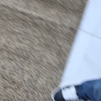 موکت ضخیم پالاز|موکت|تهران, فلسطین (میدان انقلاب)|دیوار