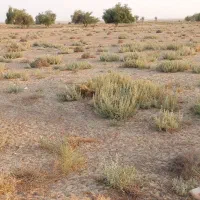 زمین چاه پیر|فروش دفتر صنعتی، کشاورزی، تجاری|اهرم, |دیوار