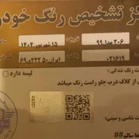 ۲۰۶ تیپ ۲ مدل ۹۹ دارای بیمه شخص ثالث و بیمه بدنه