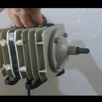 آکواریوم و لوازم|ماهی|مسجد سلیمان, |دیوار