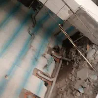 52مترسند-تک-برگ-سبز-جدید-امل