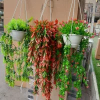 گل پرنده بهشتی مصنوعی|گل مصنوعی|سراب, |دیوار