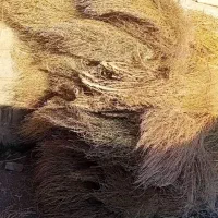 جارو دستی