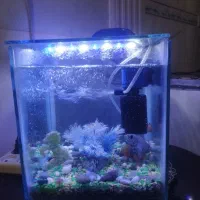 آکواریوم سالم با در فروش فوری 28 در28 بدون لوازم