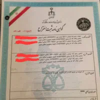 مشارکت در تولید شوینده ارگانیک صنعتی|عمده‌فروشی|تهران, گاندی|دیوار