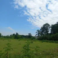 زمین / باغی / مزروعی / ۱۱۰ هکتاری