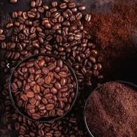 پخش عمده قهوه کنگاور