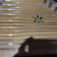 سنتور کوثری|سازهای سنتی|دزفول, |دیوار