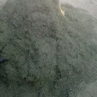 یونجه خرد شده
