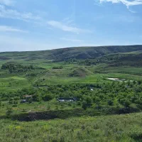 فروش یک قطعه زمین به متراژ تقریبی ۱۴۰۰۰ متر|فروش دفتر صنعتی، کشاورزی، تجاری|اهر, |دیوار