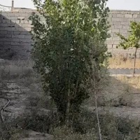 فروش-باغ-ویلا-در-سهل-الدین