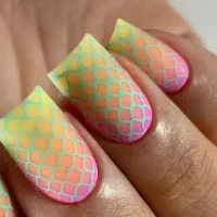 تخفیف ویژه آموزش کاشت قالب بعدثبت نام استخدام شو|خدمات آموزشی|شوشتر, |دیوار