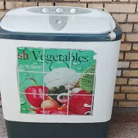 لباسشویی دوقلو