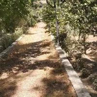 زمین کشاورزی