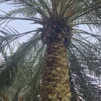 مهندس عمران -سرپرست اجرا