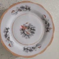لیوان دیس میوه خوری ظروف آشپزخونه بشقاب