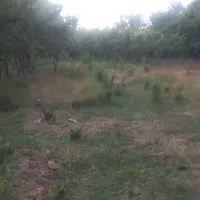 فروش باغچه ۱۰۰۰ متری