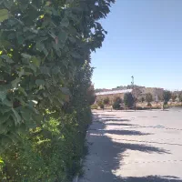 انجام امور نگهداری از باغچه|خدمات باغبانی و درختکاری|قم, شاد قلی|دیوار