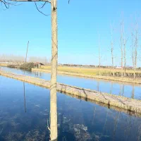 ویلاهای سوئسی لمس آرامش اروپا|فروش خانه و ویلا|بهار, |دیوار