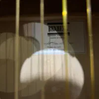 گیتار حرفه ایی کلاسیک نونو(بنبرگ مدل wm130کمیاب