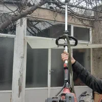 هرس وفرم دهی درختان باغ و باغچه