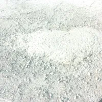 خانه اجاره ای حاجی آباد بیرجند