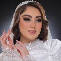 میکاپ و شنیون (عروس و همراهی) با مواد Vip