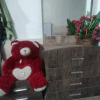 تخت خواب دونفره|تخت و سرویس خواب|برازجان, |دیوار