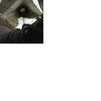 مغنی چاه کن|خدمات پیشه و مهارت|تهران, کوثر|دیوار