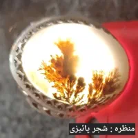 انگشتر اصل شجر قدیمی و دست ساز|بدلیجات|باسمنج, |دیوار