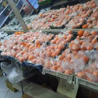 واگذاری میوه فروشی