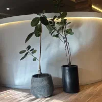 دو عدد گلدان کاملا سالم