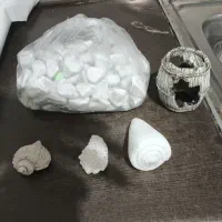 سنگ و صدف و.. اکواریوم