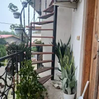 سویئت اجاره روزانه