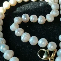 گردنبند مروارید پرورشی استیل ۳۱۶ آبکاری ۷ لایه طلا|جواهرات|پرند, فاز ۲|دیوار