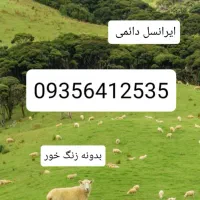 سیم کارت ایرانسل قدیمی دائمی .