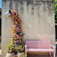 استخدام منشی خانم در مطب روانشناسی