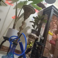 قلیان تمام مس