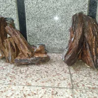 صخره اکواریوم