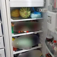 یخچال فریزر دوقلو|یخچال و فریزر|تربتحیدریه, پایانه مسافربری تربت حیدریه|دیوار