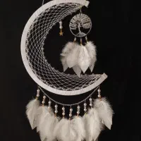 دریم کچر