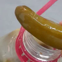 خیارشور اصیل همدان