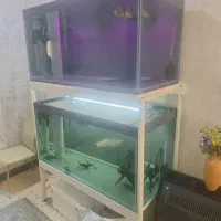 اکواریوم سایز خاص ۱۲۰*۶۰*۶۰ شیشه فلوت ۱۲ میل